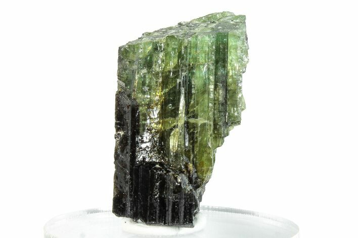 Colorful Tourmaline (Elbaite) Crystal - Leduc Mine, Quebec #284356